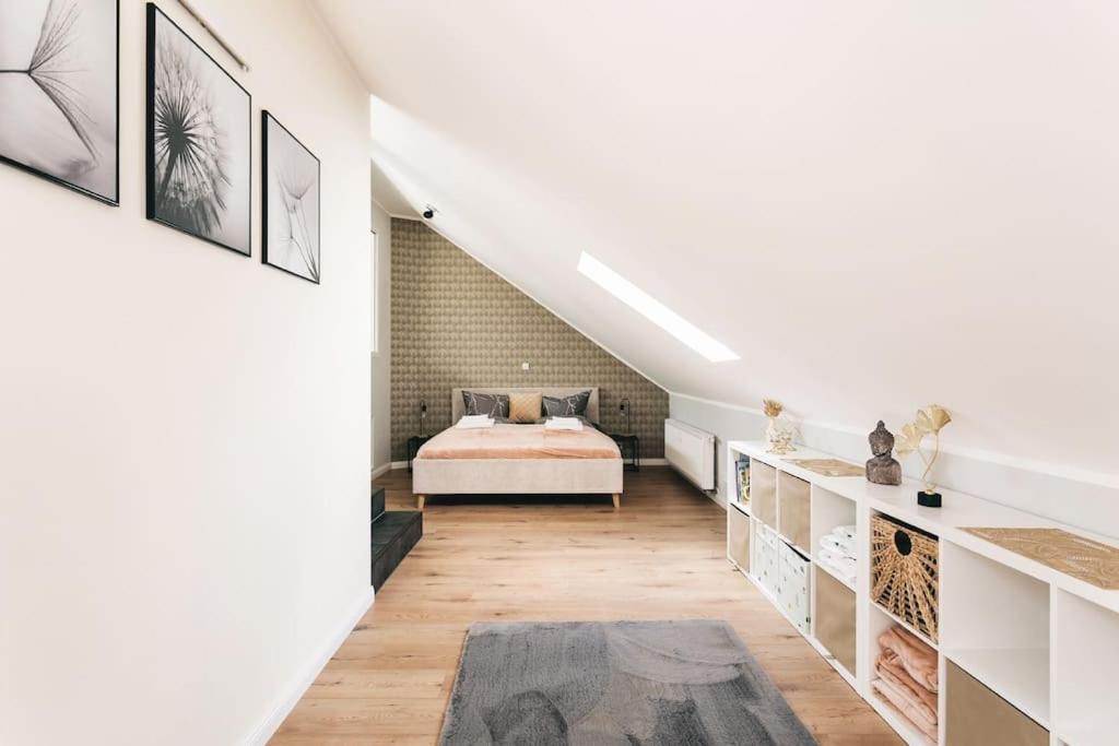 Tip! Toplage In Dresden! Moderne 100 Qm Ferienwohnung Fuer Familien Und Kleine Gruppen 외부 사진