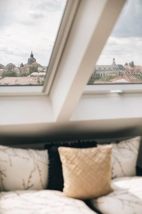 Tip! Toplage In Dresden! Moderne 100 Qm Ferienwohnung Fuer Familien Und Kleine Gruppen 외부 사진