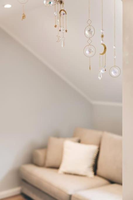 Tip! Toplage In Dresden! Moderne 100 Qm Ferienwohnung Fuer Familien Und Kleine Gruppen 외부 사진