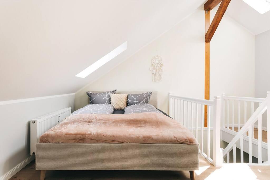 Tip! Toplage In Dresden! Moderne 100 Qm Ferienwohnung Fuer Familien Und Kleine Gruppen 외부 사진